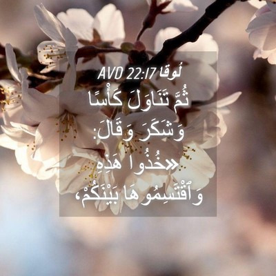 Picture 04 - لُوقا 22:17 AVD - ثُمَّ تَنَاوَلَ كَأْسًا - Bible Verse Picture