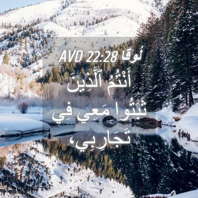 Picture 04 - لُوقا 22:28 AVD - أَنْتُمُ ٱلَّذِينَ - Bible Verse Picture