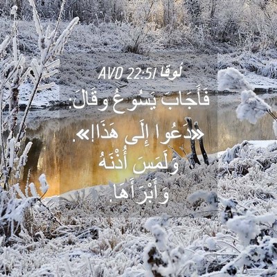 Picture 04 - لُوقا 22:51 AVD - فَأَجَابَ يَسُوعُ وقَالَ: - Bible Verse Picture