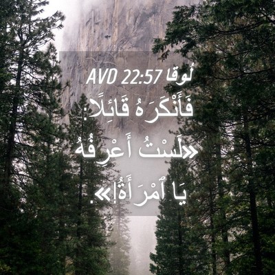 Picture 04 - لُوقا 22:57 AVD - فَأَنْكَرَهُ قَائِلًا: - Bible Verse Picture