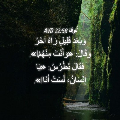 Picture 04 - لُوقا 22:58 AVD - وَبَعْدَ قَلِيلٍ رَآهُ - Bible Verse Picture