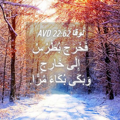 Picture 04 - لُوقا 22:62 AVD - فَخَرَجَ بُطْرُسُ إِلَى - Bible Verse Picture