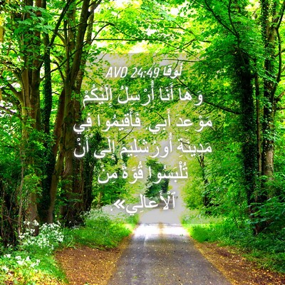 Picture 04 - لُوقا 24:49 AVD - وَهَا أَنَا أُرْسِلُ - Bible Verse Picture