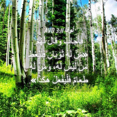 Picture 04 - لُوقا 3:11 AVD - فَأَجَابَ وَقَالَ لَهُمْ: - Bible Verse Picture