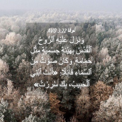 Picture 04 - لُوقا 3:22 AVD - وَنَزَلَ عَلَيْهِ - Bible Verse Picture