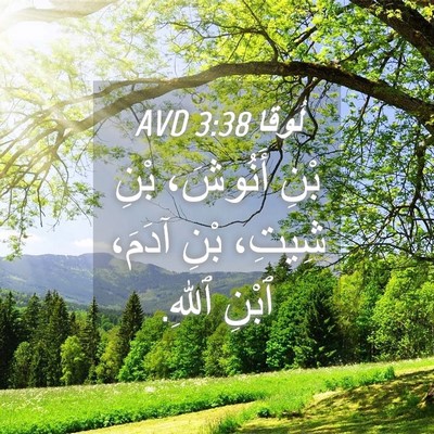 Picture 04 - لُوقا 3:38 AVD - بْنِ أَنُوشَ، بْنِ شِيتِ، - Bible Verse Picture