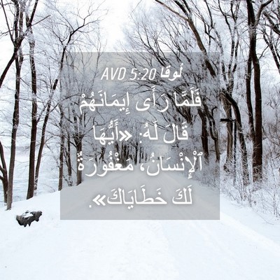 Picture 04 - لُوقا 5:20 AVD - فَلَمَّا رَأَى - Bible Verse Picture