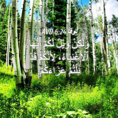 Picture 04 - لُوقا 6:24 AVD - وَلَكِنْ وَيْلٌ لَكُمْ - Bible Verse Picture