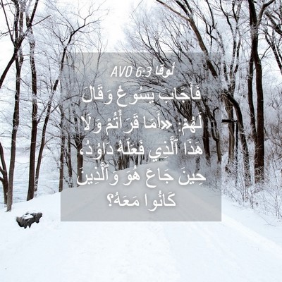 Picture 04 - لُوقا 6:3 AVD - فَأَجَابَ يَسُوعُ وَقَالَ - Bible Verse Picture