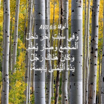 Picture 04 - لُوقا 6:6 AVD - وَفِي سَبْتٍ آخَرَ دَخَلَ - Bible Verse Picture