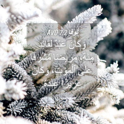 Picture 04 - لُوقا 7:2 AVD - وَكَانَ عَبْدٌ لِقَائِدِ - Bible Verse Picture