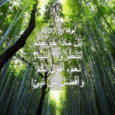 Picture 04 - لُوقا 7:26 AVD - بَلْ مَاذَا خَرَجْتُمْ - Bible Verse Picture