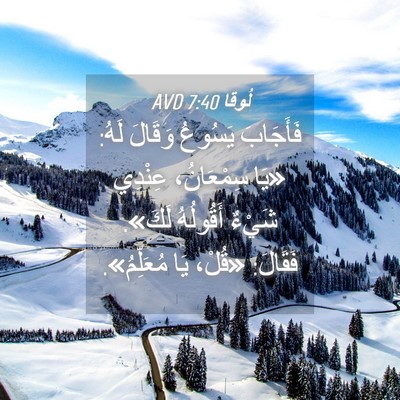 Picture 04 - لُوقا 7:40 AVD - فَأَجَابَ يَسُوعُ وَقَالَ - Bible Verse Picture