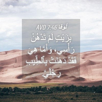 Picture 04 - لُوقا 7:46 AVD - بِزَيْتٍ لَمْ تَدْهُنْ - Bible Verse Picture