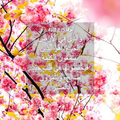 Picture 04 - لُوقا 8:15 AVD - وَٱلَّذِي فِي ٱلْأَرْضِ - Bible Verse Picture