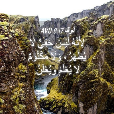 Picture 04 - لُوقا 8:17 AVD - لِأَنَّهُ لَيْسَ خَفِيٌّ - Bible Verse Picture