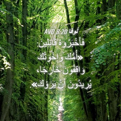 Picture 04 - لُوقا 8:20 AVD - فَأَخْبَرُوهُ قَائِلِينَ: - Bible Verse Picture