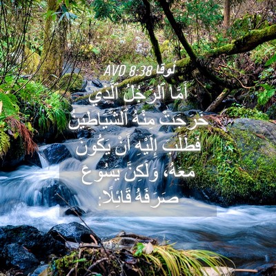 Picture 04 - لُوقا 8:38 AVD - أَمَّا ٱلرَّجُلُ ٱلَّذِي - Bible Verse Picture
