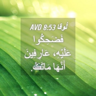 Picture 04 - لُوقا 8:53 AVD - فَضَحِكُوا عَلَيْهِ، - Bible Verse Picture
