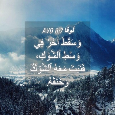 Picture 04 - لُوقا 8:7 AVD - وَسَقَطَ آخَرُ فِي وَسْطِ - Bible Verse Picture