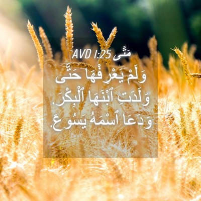 Picture 04 - مَتَّى 1:25 AVD - وَلَمْ يَعْرِفْهَا حَتَّى - Bible Verse Picture