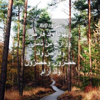 Picture 04 - مَتَّى 1:3 AVD - وَيَهُوذَا وَلَدَ فَارِصَ - Bible Verse Picture
