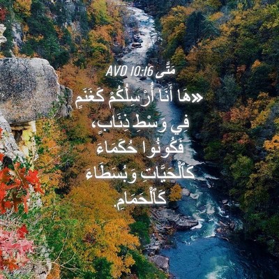 Picture 04 - مَتَّى 10:16 AVD - «هَا أَنَا أُرْسِلُكُمْ - Bible Verse Picture