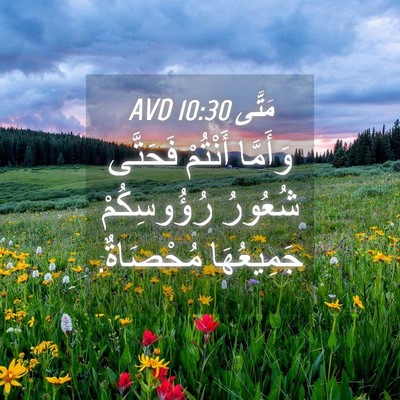 Picture 04 - مَتَّى 10:30 AVD - وَأَمَّا أَنْتُمْ - Bible Verse Picture
