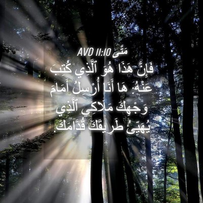 Picture 04 - مَتَّى 11:10 AVD - فَإِنَّ هَذَا هُوَ ٱلَّذِي - Bible Verse Picture
