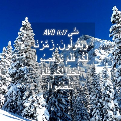 Picture 04 - مَتَّى 11:17 AVD - وَيَقُولُونَ: زَمَّرْنَا - Bible Verse Picture