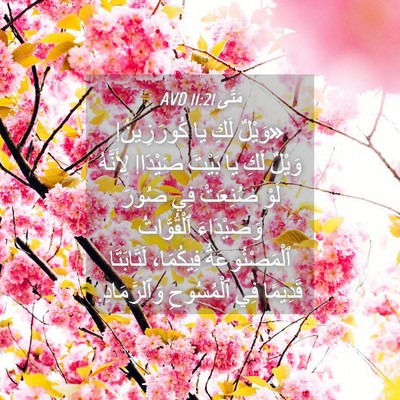 Picture 04 - مَتَّى 11:21 AVD - «وَيْلٌ لَكِ يا - Bible Verse Picture