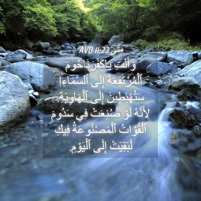 Picture 04 - مَتَّى 11:23 AVD - وَأَنْتِ ياكَفْرَنَاحُومَ - Bible Verse Picture