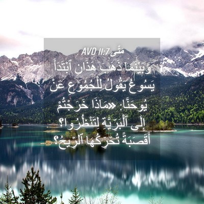 Picture 04 - مَتَّى 11:7 AVD - وَبَيْنَمَا ذَهَبَ - Bible Verse Picture