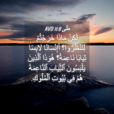 Picture 04 - مَتَّى 11:8 AVD - لَكِنْ مَاذَا خَرَجْتُمْ - Bible Verse Picture