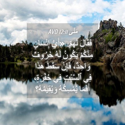 Picture 04 - مَتَّى 12:11 AVD - فَقَالَ لَهُمْ: «أَيُّ - Bible Verse Picture