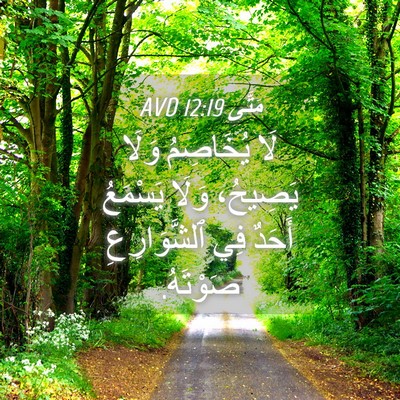 Picture 04 - مَتَّى 12:19 AVD - لَا يُخَاصِمُ وَلَا - Bible Verse Picture