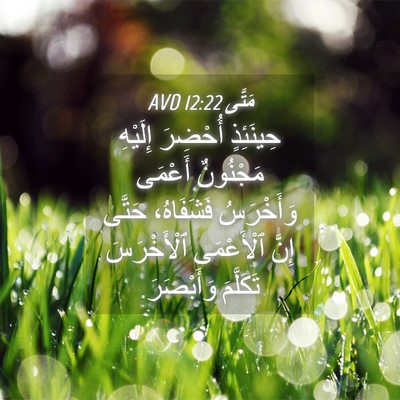 Picture 04 - مَتَّى 12:22 AVD - حِينَئِذٍ أُحْضِرَ - Bible Verse Picture