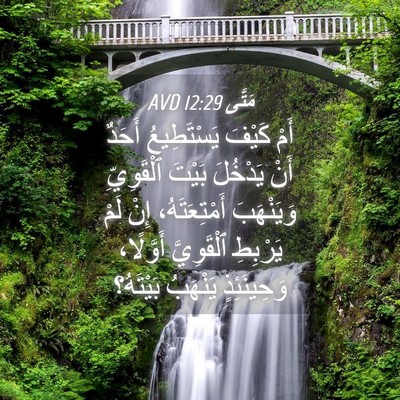 Picture 04 - مَتَّى 12:29 AVD - أَمْ كَيْفَ يَسْتَطِيعُ - Bible Verse Picture