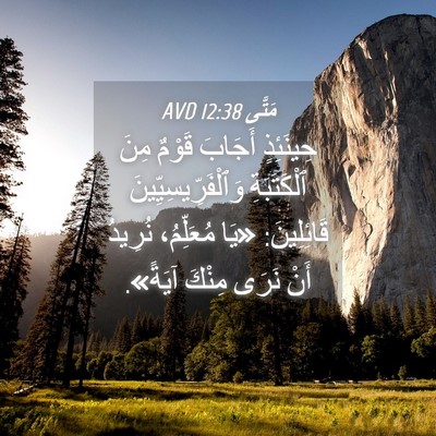 Picture 04 - مَتَّى 12:38 AVD - حِينَئِذٍ أَجَابَ قَوْمٌ - Bible Verse Picture