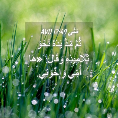 Picture 04 - مَتَّى 12:49 AVD - ثُمَّ مَدَّ يَدَهُ نَحْوَ - Bible Verse Picture