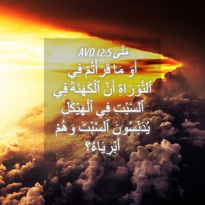 Picture 04 - مَتَّى 12:5 AVD - أَوَ مَا قَرَأْتُمْ فِي - Bible Verse Picture