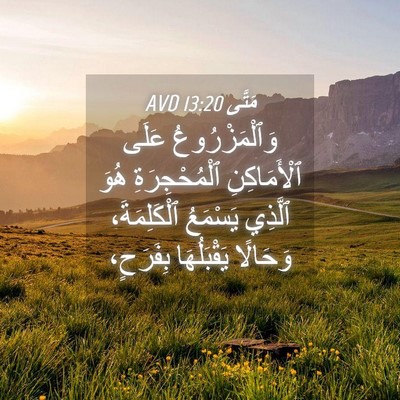 Picture 04 - مَتَّى 13:20 AVD - وَٱلْمَزْرُوعُ عَلَى - Bible Verse Picture