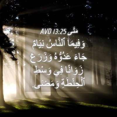 Picture 04 - مَتَّى 13:25 AVD - وَفِيمَا ٱلنَّاسُ نِيَامٌ - Bible Verse Picture