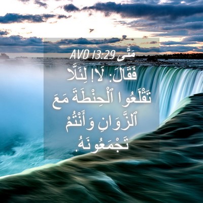 Picture 04 - مَتَّى 13:29 AVD - فَقَالَ: لَا! لِئَلَّا - Bible Verse Picture