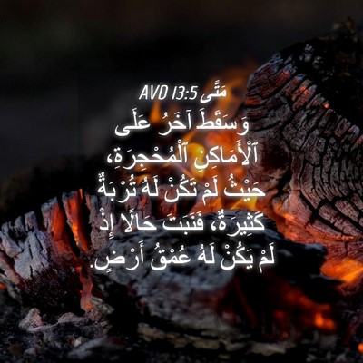Picture 04 - مَتَّى 13:5 AVD - وَسَقَطَ آخَرُ عَلَى - Bible Verse Picture