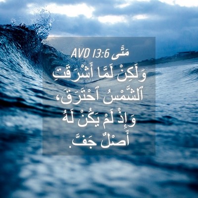 Picture 04 - مَتَّى 13:6 AVD - وَلَكِنْ لَمَّا - Bible Verse Picture