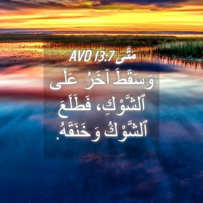 Picture 04 - مَتَّى 13:7 AVD - وَسَقَطَ آخَرُ عَلَى - Bible Verse Picture