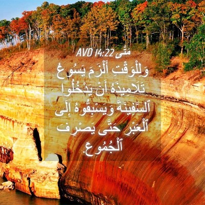 Picture 04 - مَتَّى 14:22 AVD - وَلِلْوَقْتِ أَلْزَمَ - Bible Verse Picture