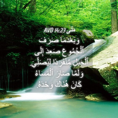 Picture 04 - مَتَّى 14:23 AVD - وَبَعْدَمَا صَرَفَ - Bible Verse Picture