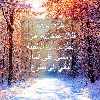 Picture 04 - مَتَّى 14:29 AVD - فَقَالَ: «تَعَالَ». - Bible Verse Picture